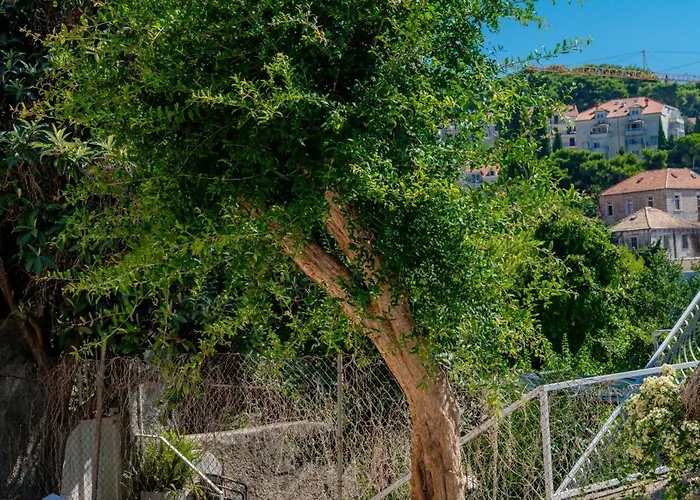 Apartmán Laura - Lapad